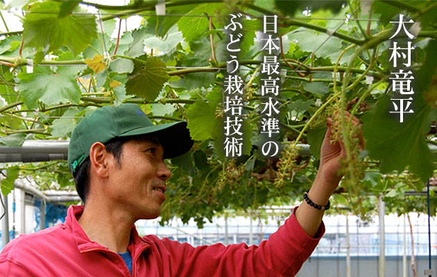日本最高水準のぶどう栽培者「大村竜平」