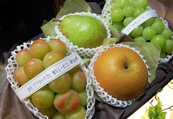 初秋のぶどう、和梨、洋梨など特選フルーツお詰め合わせ