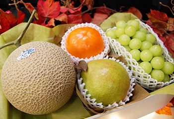 秋の味覚5room_季節のぶどう、旬の柿など11月の旬の詰め合せ