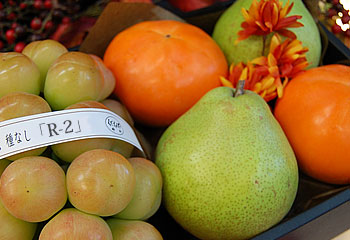 清秋の旬 10月のお詰め合わせ くだもんや