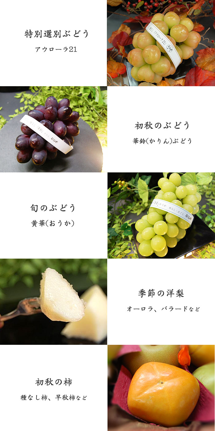 華美ぶどう、シャインマスカット、旬の和梨、季節の洋梨、初秋の柿