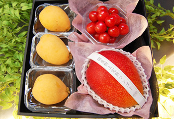 5月の旬のフルーツお詰め合わせ