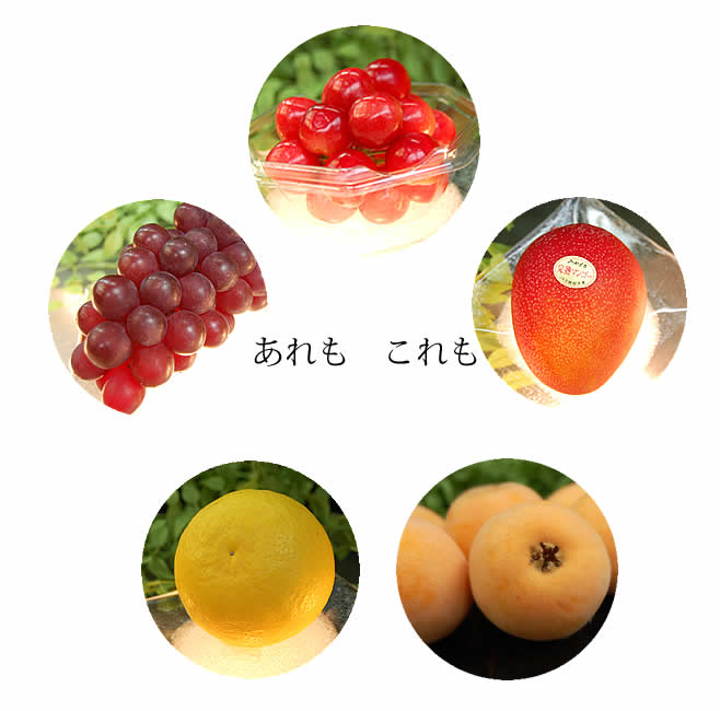旬のフルーツ、さくらんぼ、びわ、マンゴー、キングデラウェア、グレープフルーツ、オレンジスライスジャム