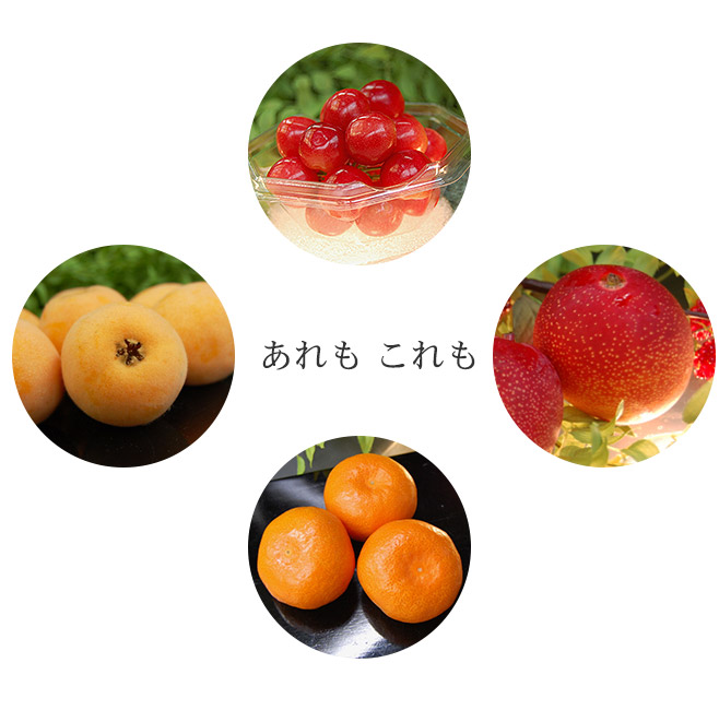 旬のフルーツ、さくらんぼ、びわ、マンゴー