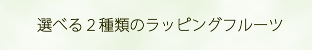 選べる2種類のラッピングフルーツ「summer boys」