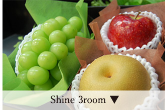 shine 3room