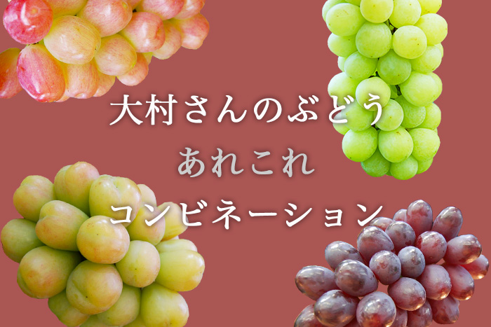 日本最高水準の栽培技術　大村農園のぶどう。種類・個数、お好みのぶどうをお詰め合わせ