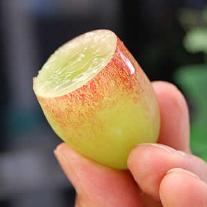 皮が薄く、そのまま食べやすい!