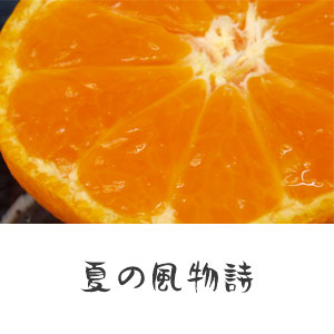 夏の風物詩