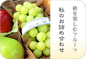 秋のお詰め合わせの詳しいページはこちらからどうぞ