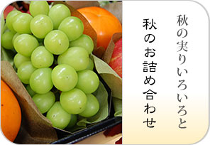 11月のお詰め合わせの詳しいページはこちらからどうぞ