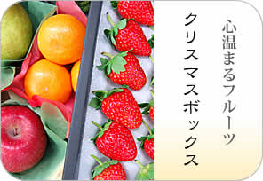 クリスマスボックスの詳しいページはこちらからどうぞ