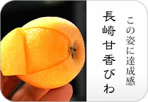 甘香びわの詳しいページはこちらからどうぞ
