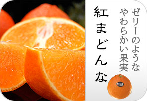 紅まどんなの詳しいページはこちらからどうぞ