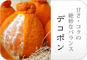 デコポンの詳しいページはこちらからどうぞ
