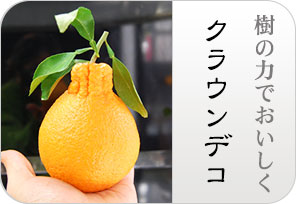 クラウンデコの詳しいページはこちらからどうぞ