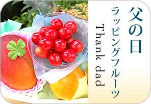 父の日ラッピングフルーツの詳しいページはこちらからどうぞ