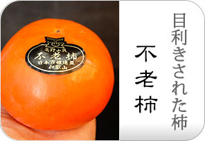 不老柿の詳しいページはこちらからどうぞ