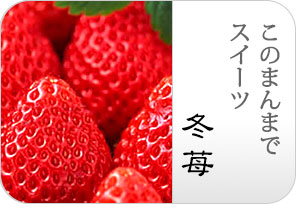 冬いちごの詳しいページはこちらからどうぞ