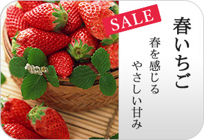 春いちごの詳しいページはこちらからどうぞ