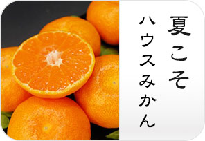 ハウスみかんの詳しいページはこちらからどうぞ