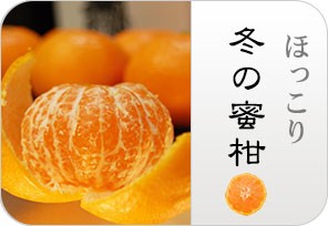 冬のみかんの詳しいページはこちらからどうぞ