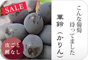 華鈴の詳しいページはこちらからどうぞ