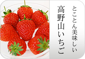 高野山苺の詳しいページはこちらからどうぞ