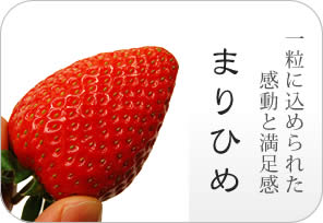 まりひめの詳しいページはこちらからどうぞ
