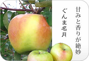 ぐんま名月りんごの詳しいページはこちらからどうぞ