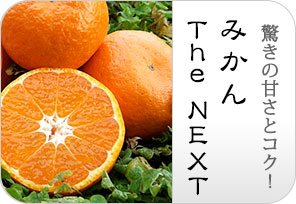 みかんtheNEXTの詳しいページはこちらからどうぞ