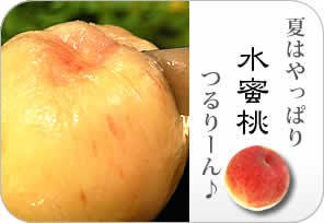 水蜜桃の詳しいページはこちらからどうぞ