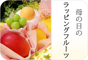 母の日ラッピングフルーツの詳しいページはこちらからどうぞ