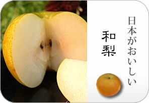 和梨の詳しいページはこちらからどうぞ