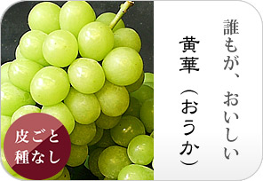 黄華ぶどうの詳しいページはこちらからどうぞ