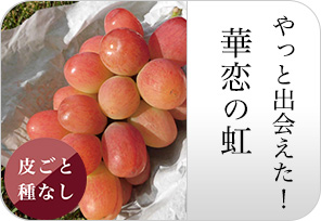 華恋の虹の詳しいページはこちらからどうぞ