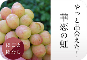 華恋の虹の詳しいページはこちらからどうぞ