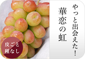 華恋の虹の詳しいページはこちらからどうぞ