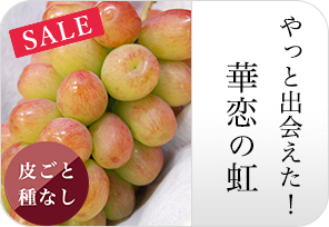 華恋の虹の詳しいページはこちらからどうぞ