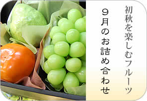 初秋のお詰め合わせの詳しいページはこちらからどうぞ