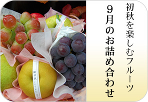 初秋のお詰め合わせの詳しいページはこちらからどうぞ