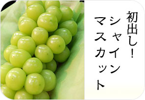 シィンマスカットの詳しいページはこちらからどうぞ