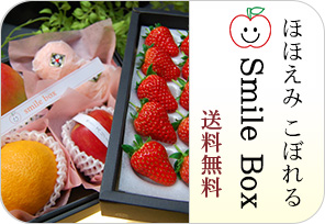 smile boxの詳しいページはこちらからどうぞ