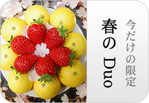 春のDuoの詳しいページはこちらからどうぞ