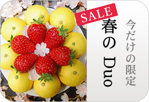 春のDuoの詳しいページはこちらからどうぞ