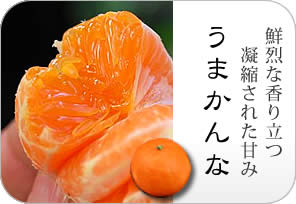 うまかんなの詳しいページはこちらからどうぞ