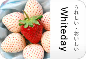 ホワイトデイの詳しいページはこちらからどうぞ