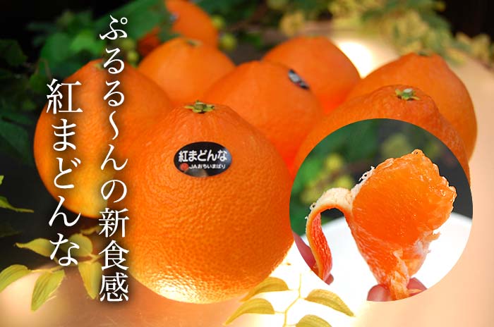 紅まどんな
