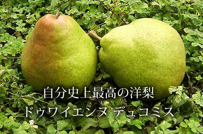 コミス