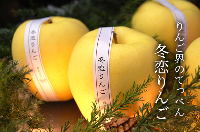 冬恋りんご